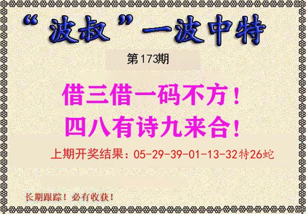 波叔中特 第173期