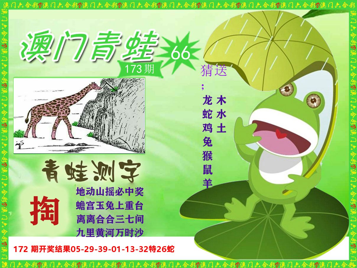 青蛙系列66 第173期