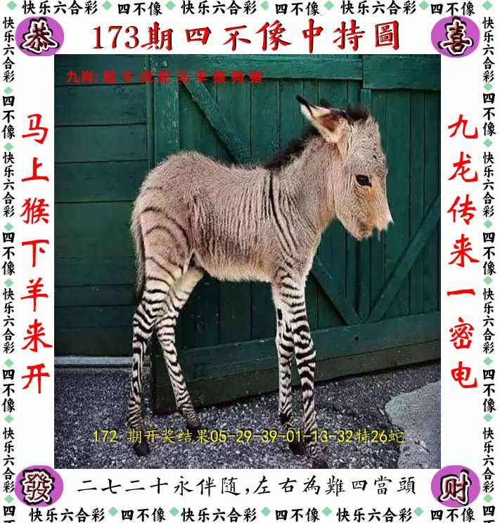 图片资料正在更新中……