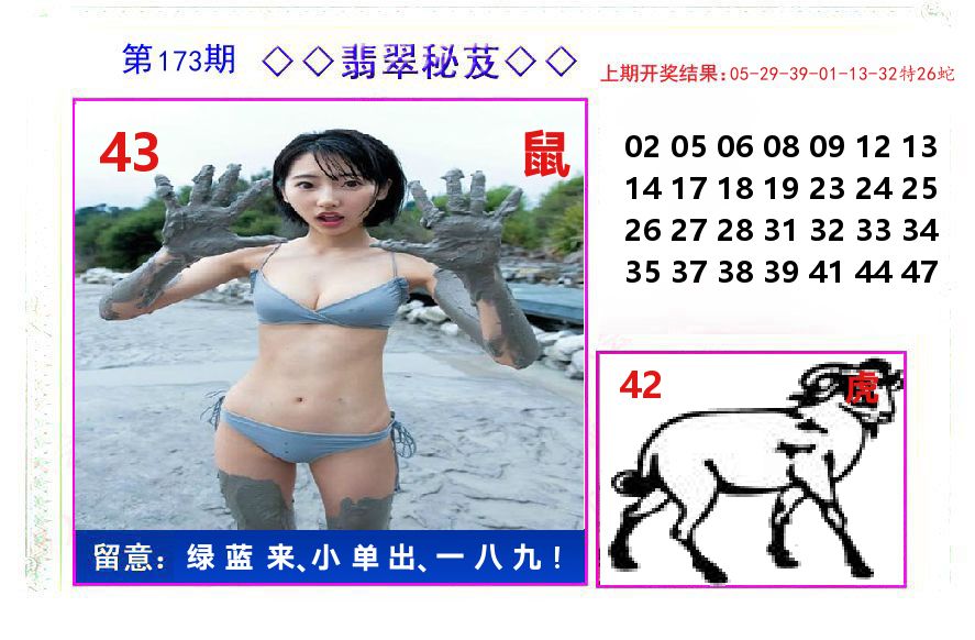 翡翠秘芨 第173期