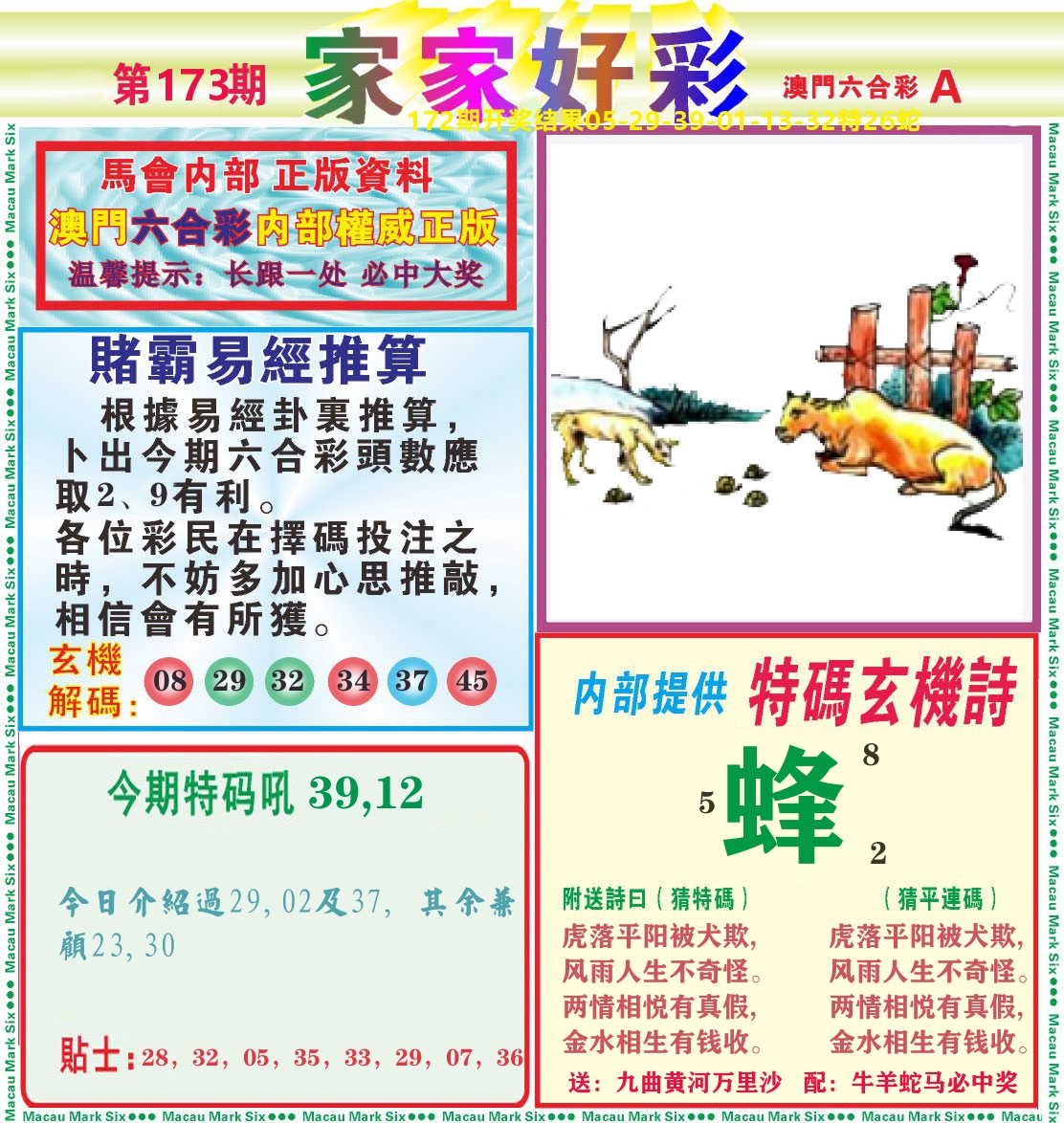 家家好彩A 第173期