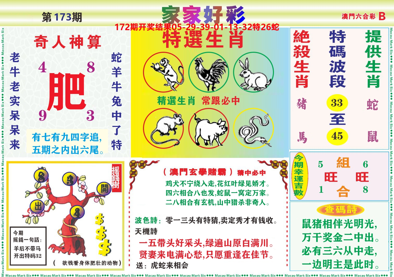 家家好彩B 第173期