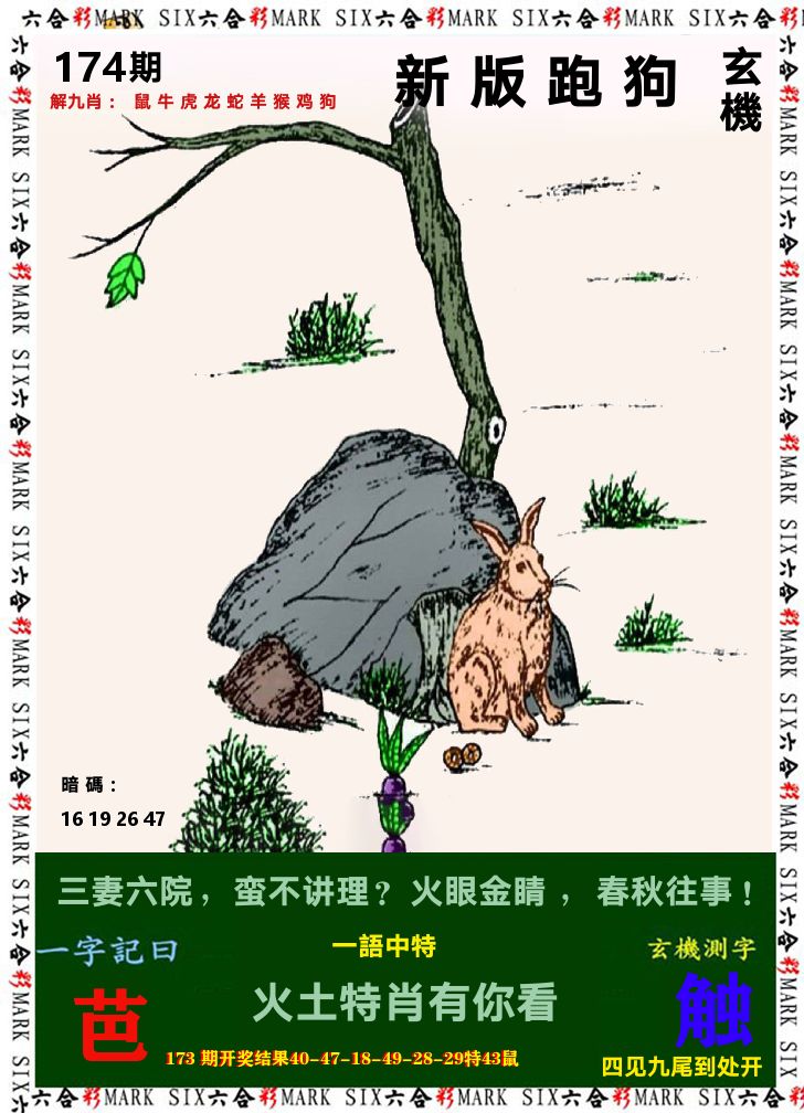 悟入其图 第174期