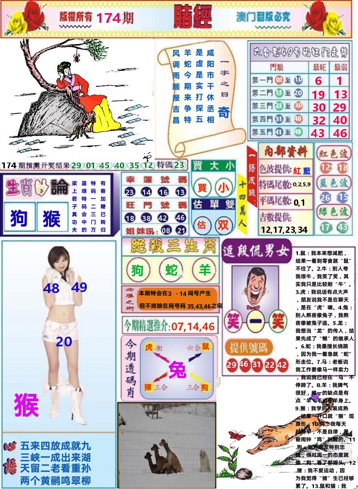 澳门赌经 第174期
