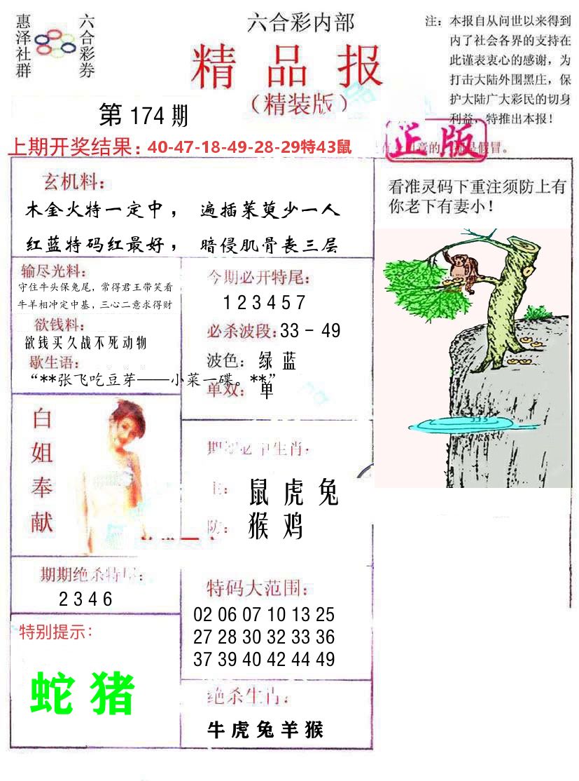 精品报 第174期