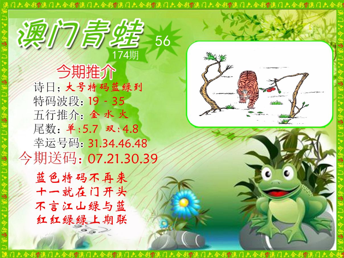 青蛙系列56 第174期