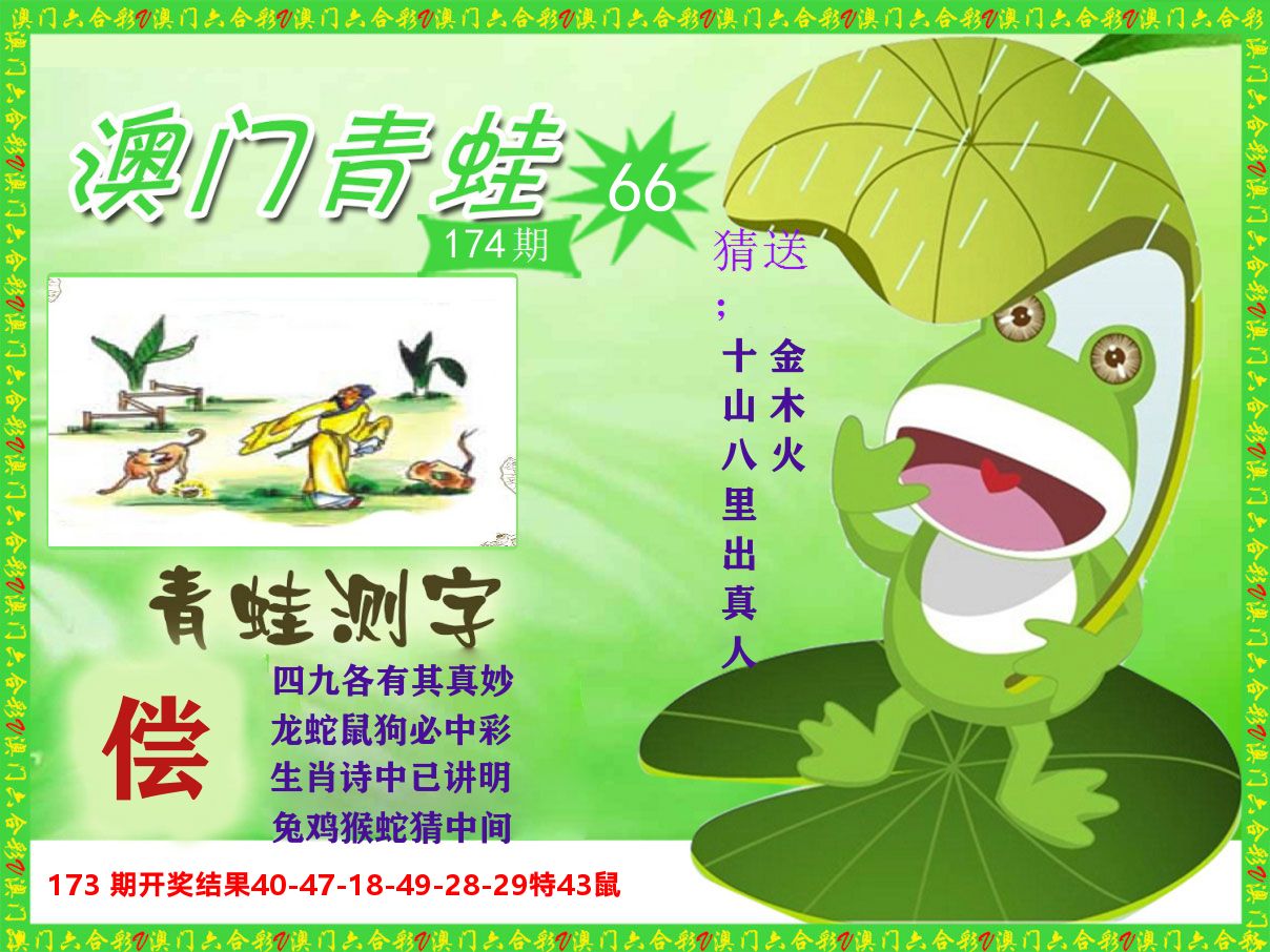 青蛙系列66 第174期