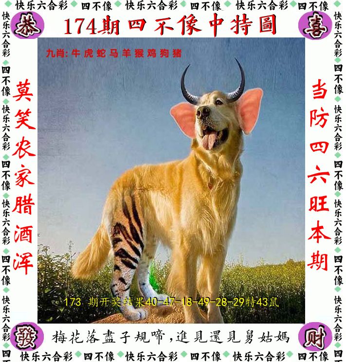 四不像 第174期