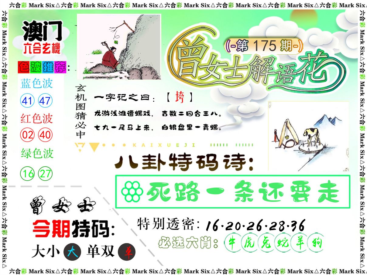 曾女士解语花 第175期