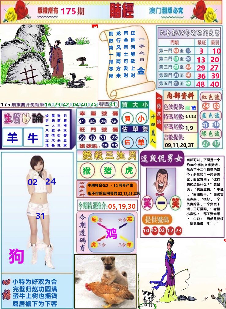 澳门赌经 第175期