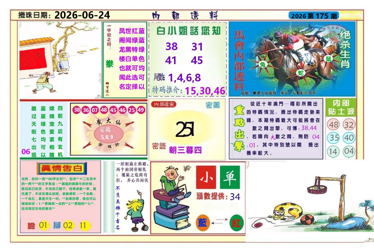 澳门内部透料A 第175期