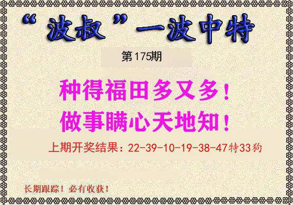 波叔中特 第175期