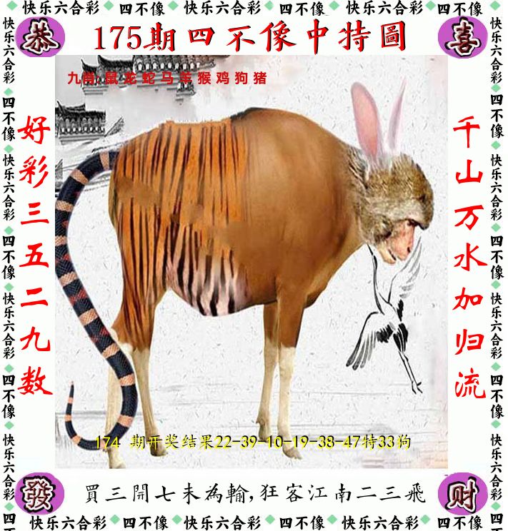 四不像 第175期