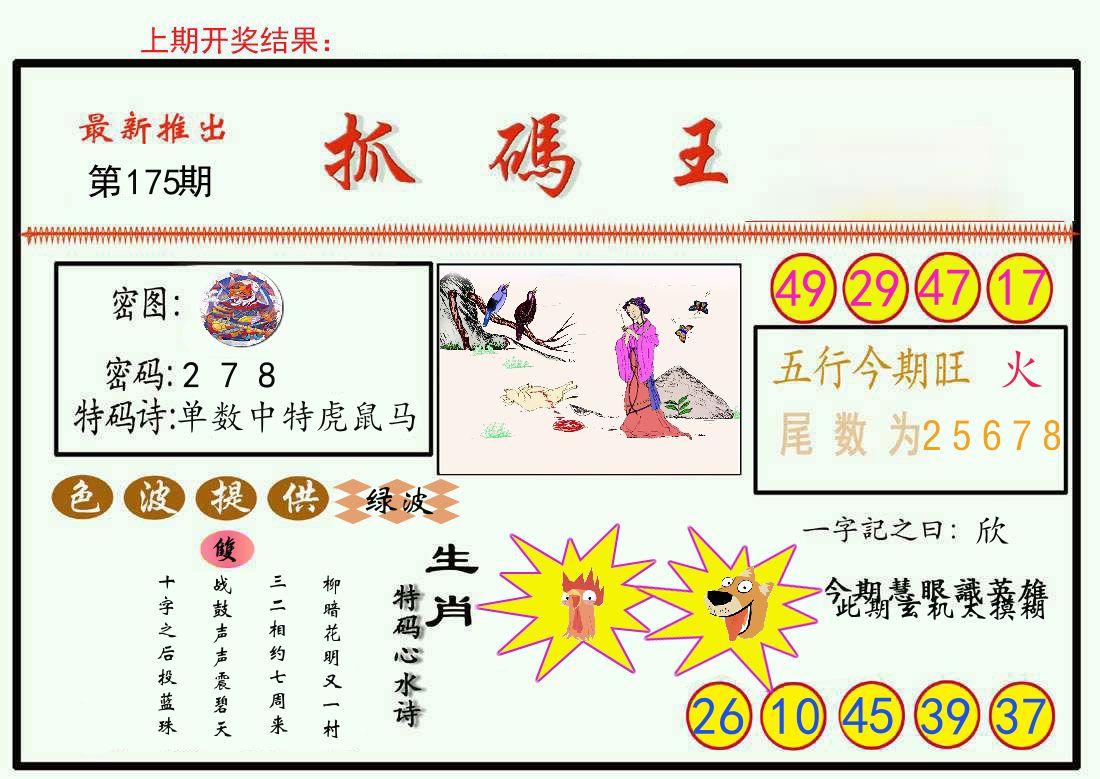 最新抓码王 第175期