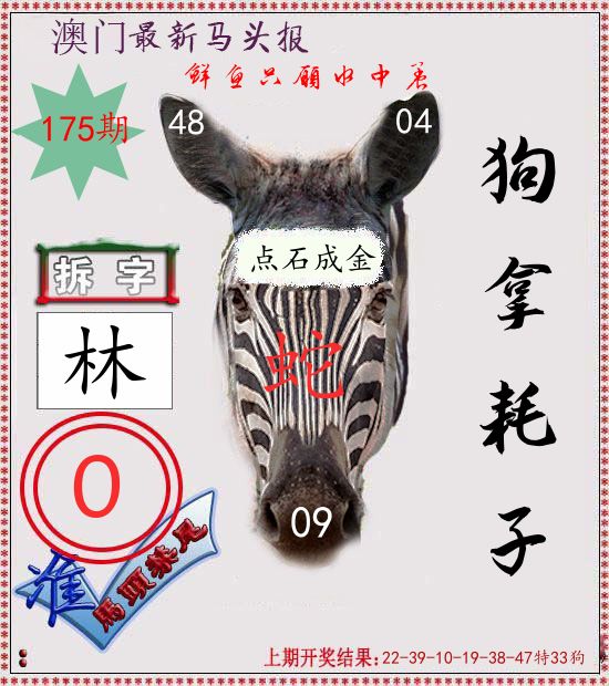 马头报 第175期