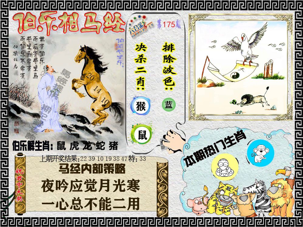 伯乐相马经 第175期