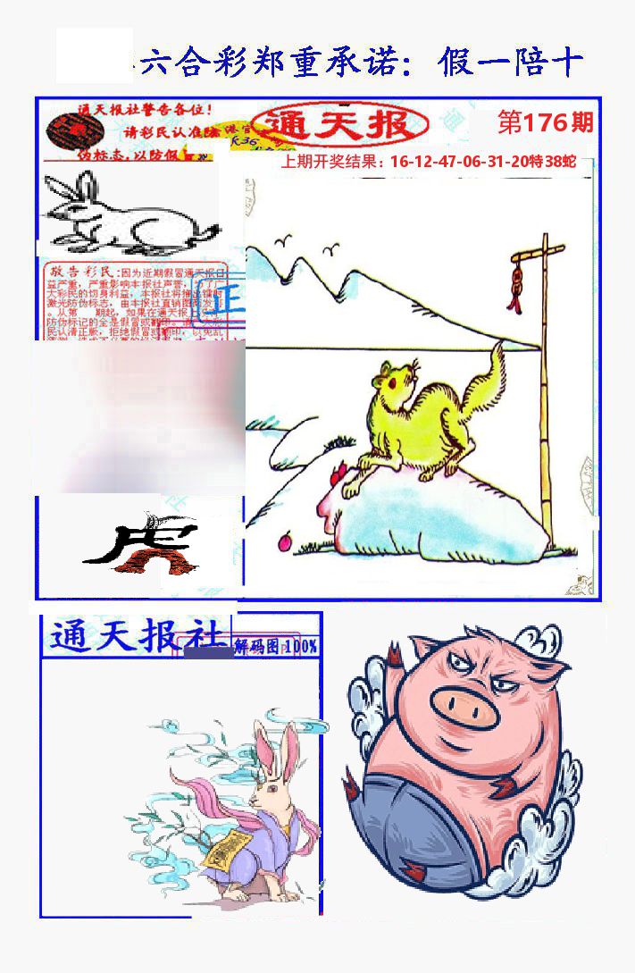 通天报 第176期
