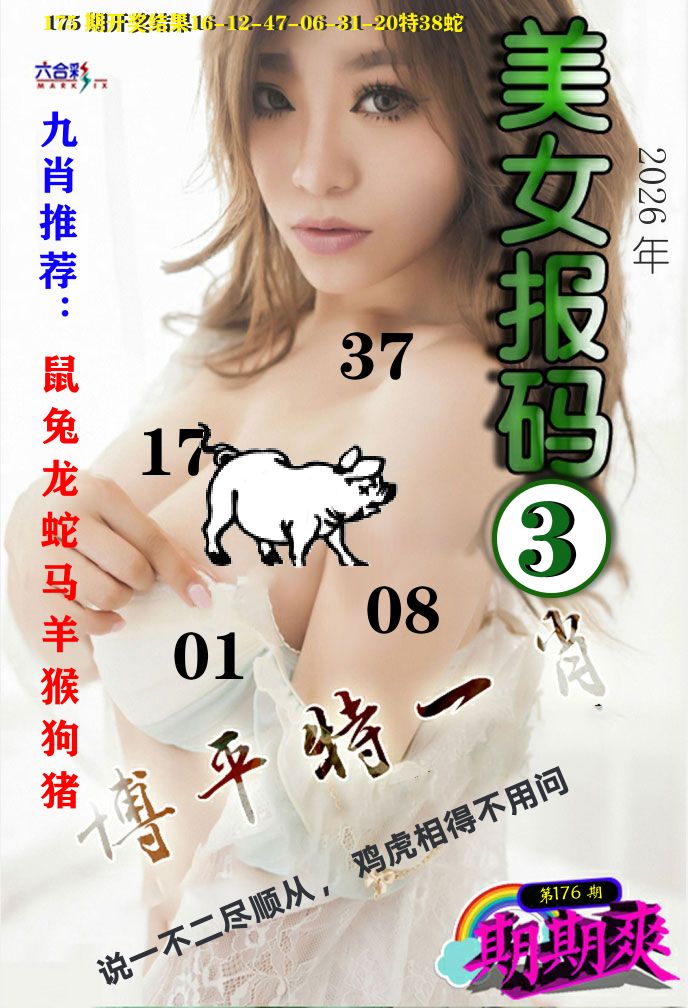 美女码报3 第176期