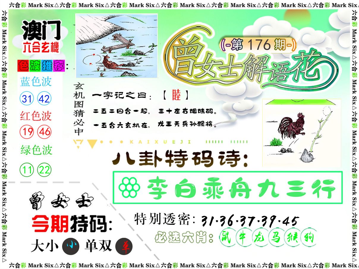 曾女士解语花 第176期