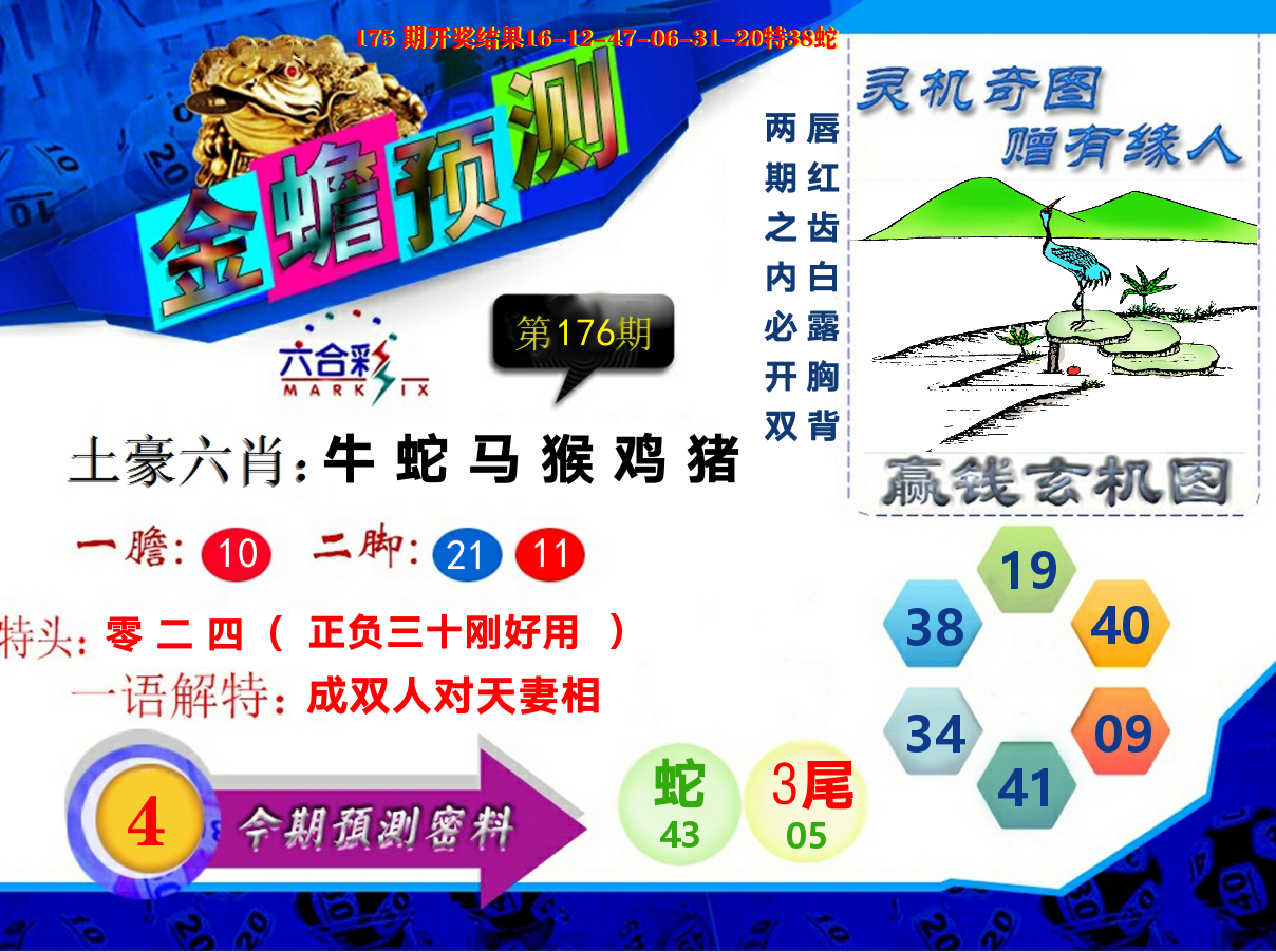 金蟾预测 第176期