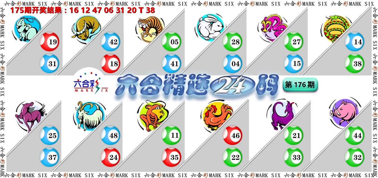 六合精选24码 第176期