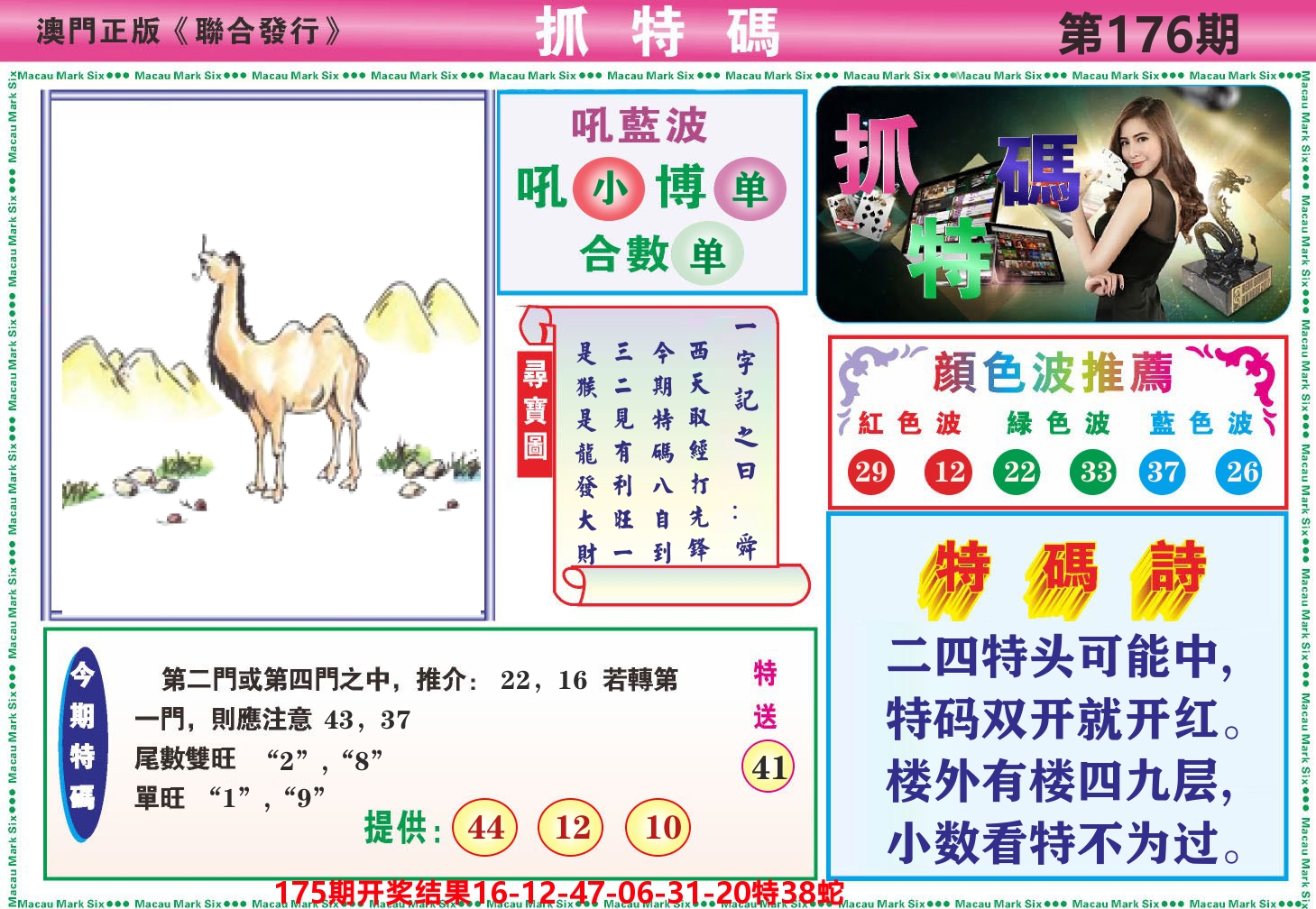 澳门抓特码A 第176期