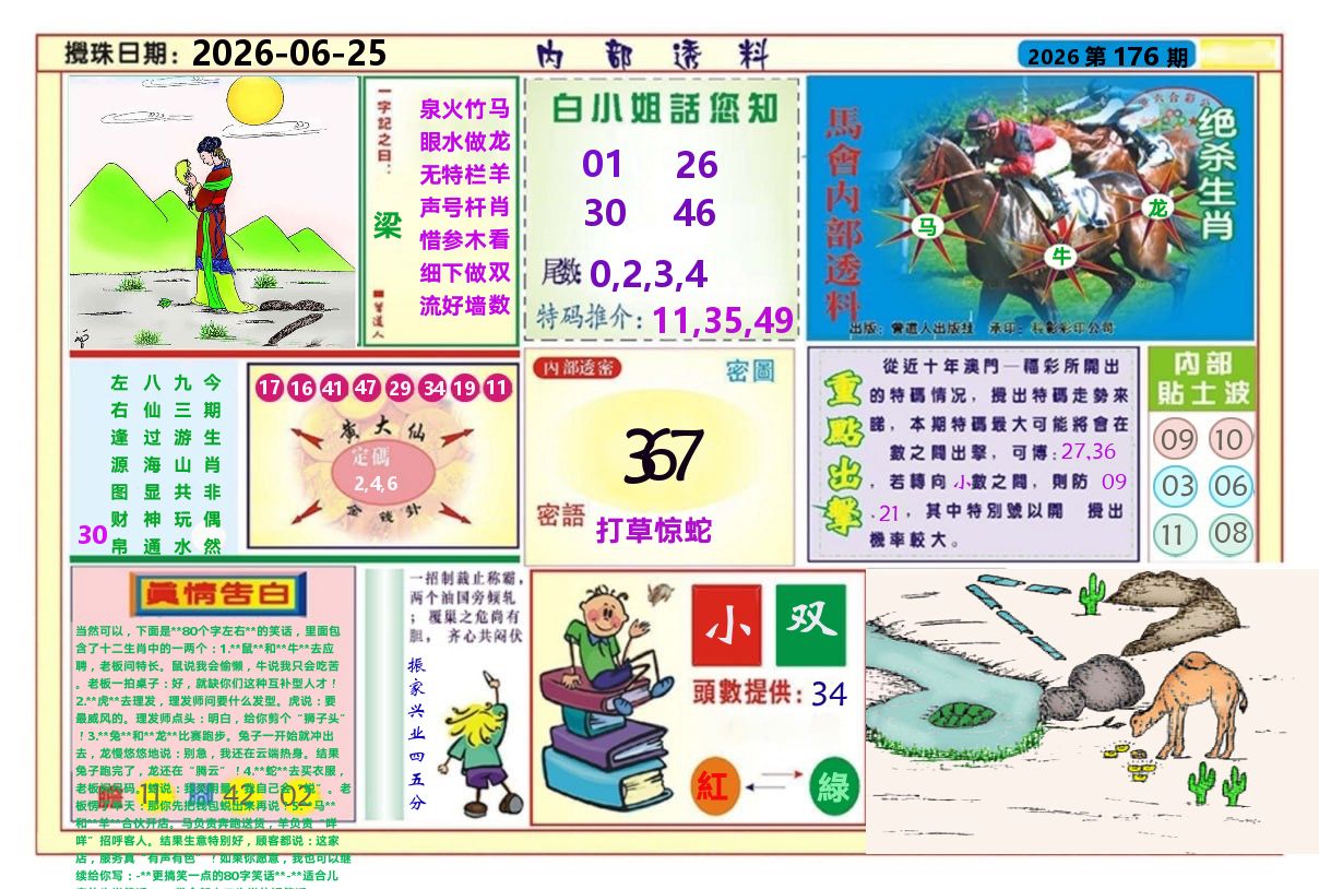 澳门内部透料A 第176期