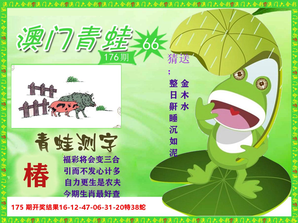 青蛙系列66 第176期