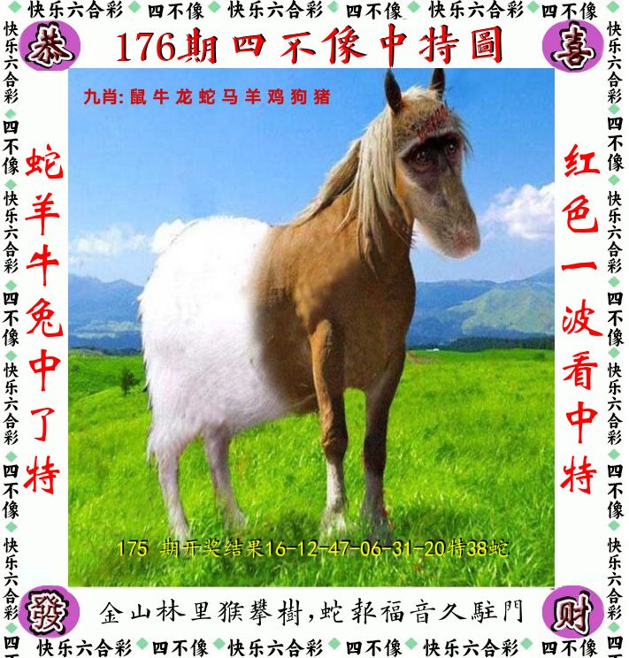 四不像 第176期
