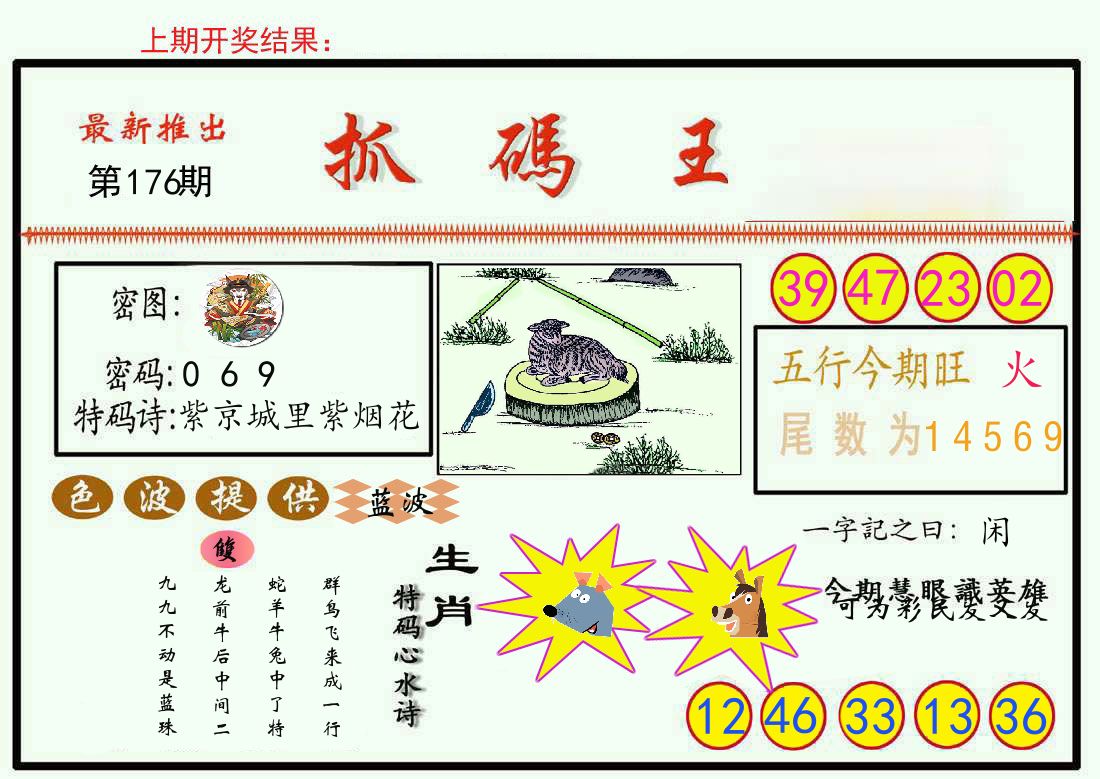 最新抓码王 第176期