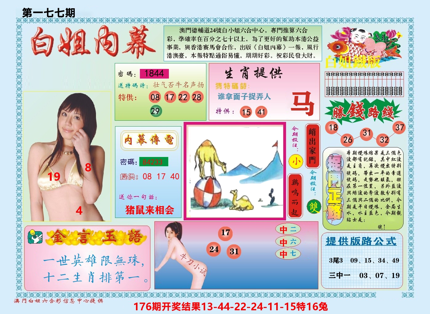 澳门白姐内幕 第177期
