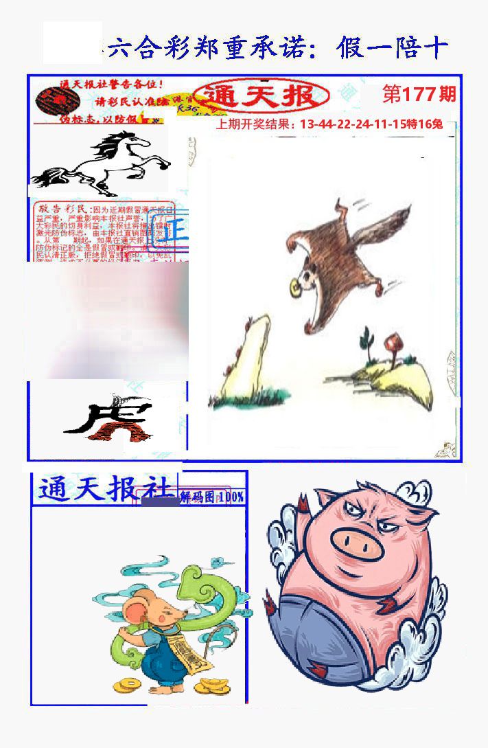 通天报 第177期