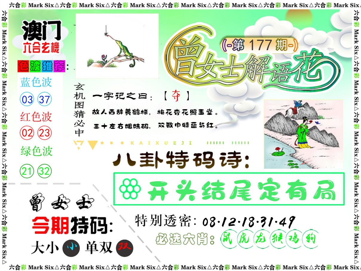 曾女士解语花 第177期
