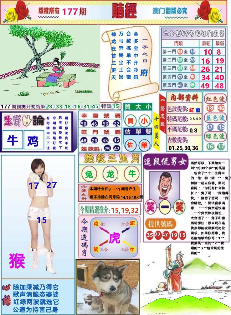 澳门赌经 第177期