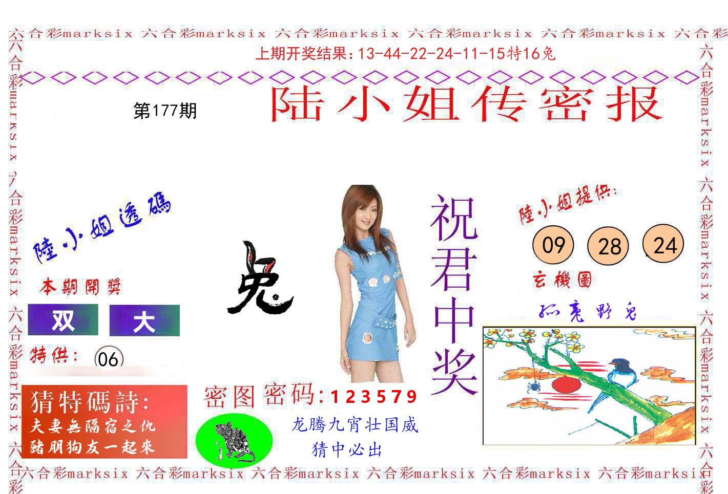 陆小姐密报 第177期