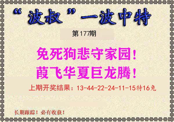 波叔中特 第177期