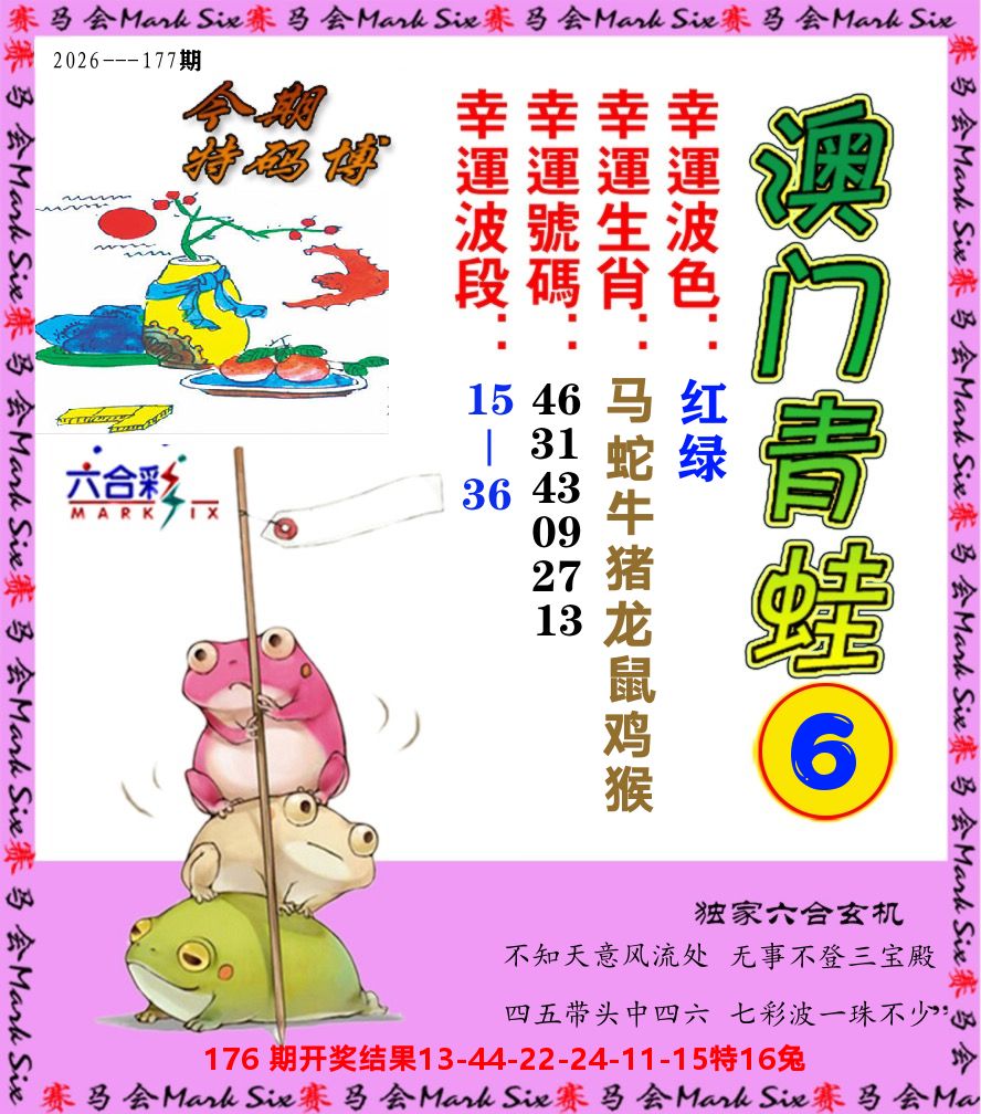 青蛙系列6 第177期