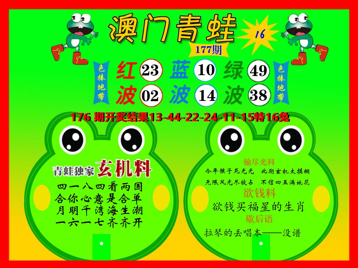 青蛙系列16 第177期