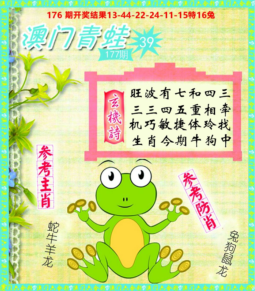 青蛙系列39 第177期