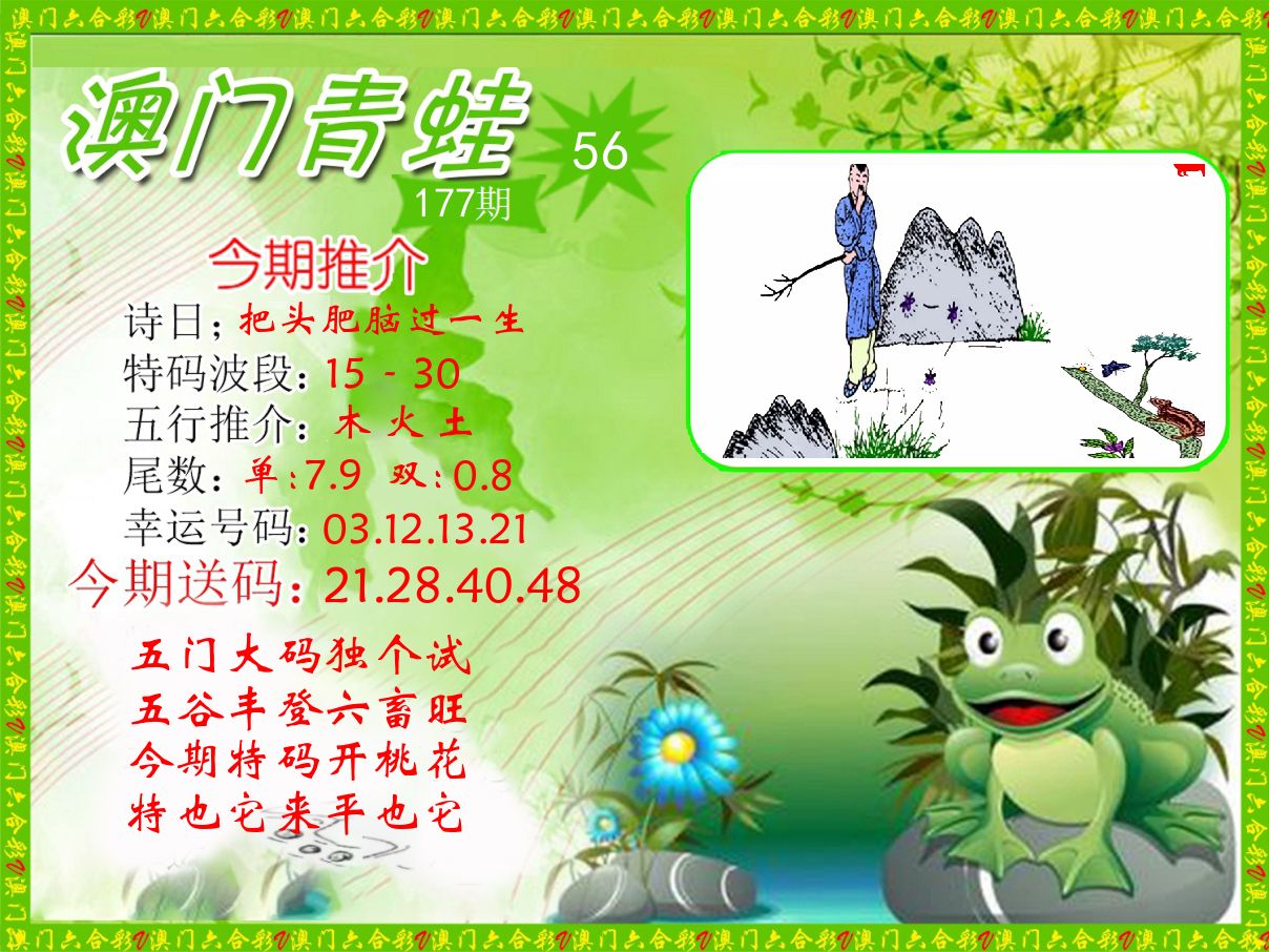 青蛙系列56 第177期
