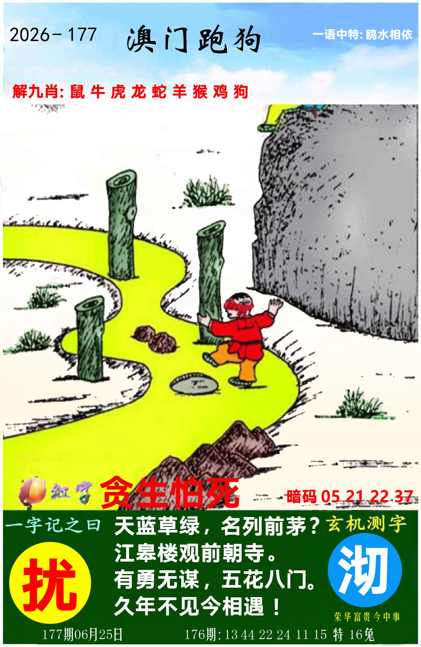 澳门跑狗图 第177期