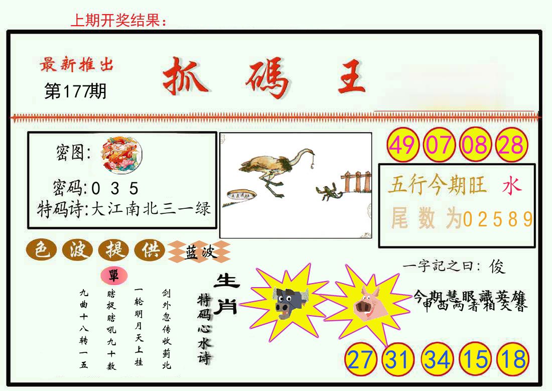 最新抓码王 第177期