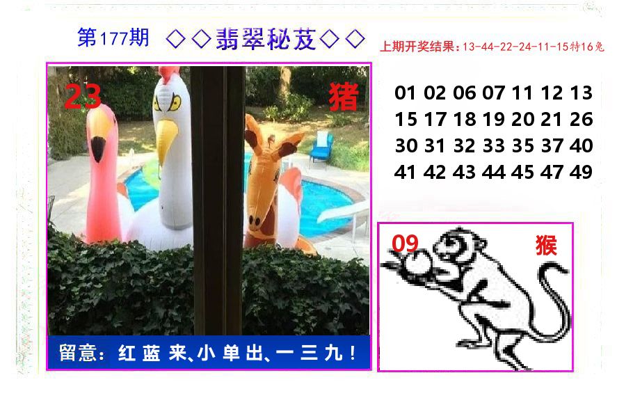 翡翠秘芨 第177期