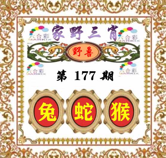 家野三肖 第177期