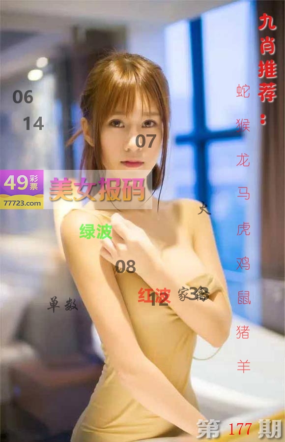 美女报码 第177期