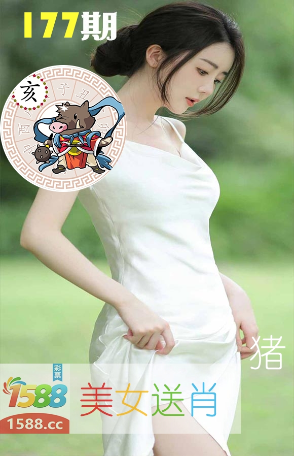 美女送肖 第177期