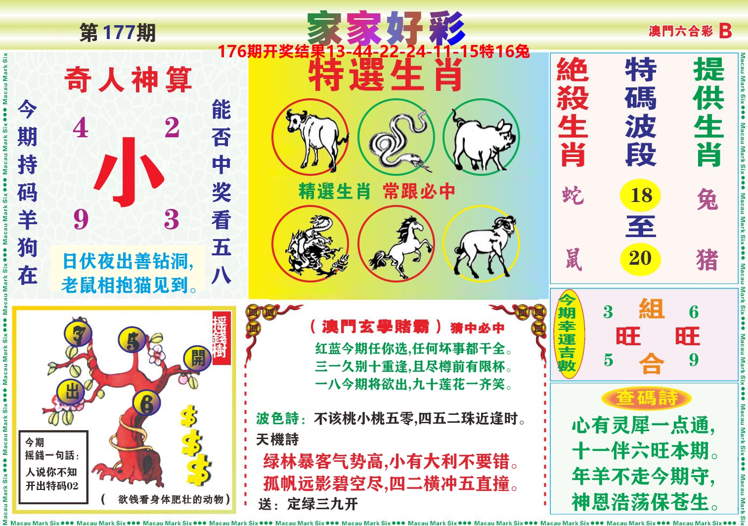 家家好彩B 第177期