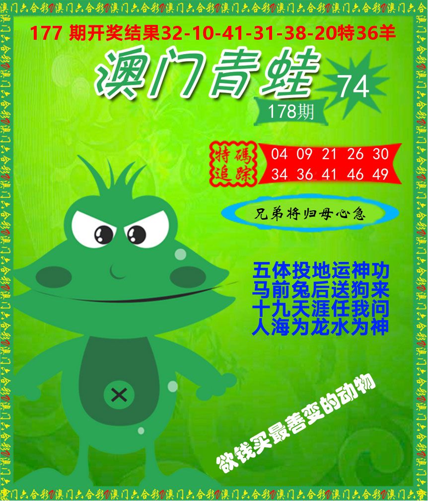青蛙系列74 第178期