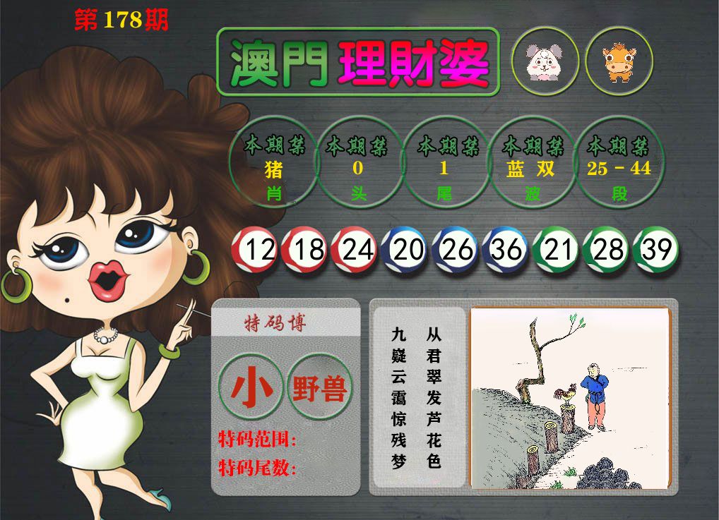 理财婆 第178期