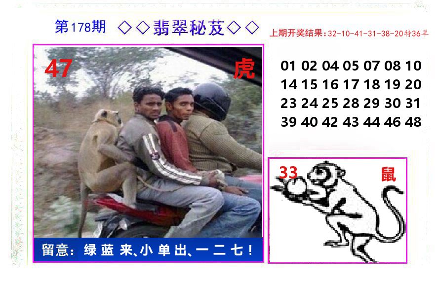 翡翠秘芨 第178期